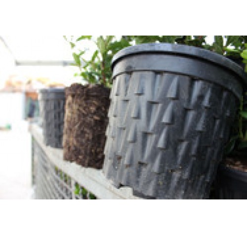 3.3Litre Root Pruning Air Pots